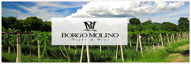 Borgo Molino Vigne & Vini Srl.